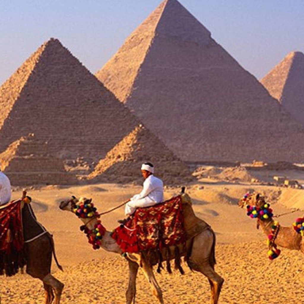 pyramids with camel 54