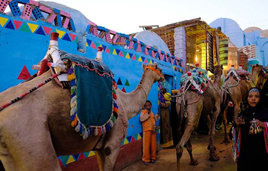 Private Aswan Tour To Nubian Village With Light Tours