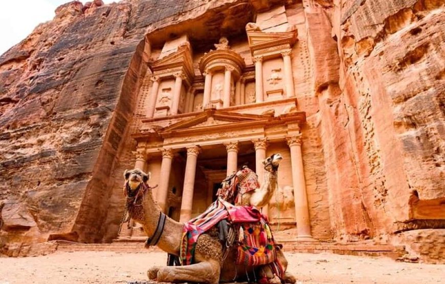 “Day Tour to Petra from Sharm El Sheikh with Cruise Excursion”